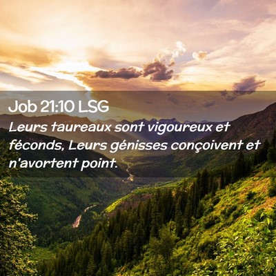 Picture 02 - Job 21:10 LSG - Leurs taureaux sont vigoureux et féconds, Leurs - Bible Verse Picture