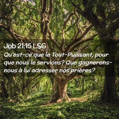 Picture 02 - Job 21:15 LSG - Qu'est-ce que le Tout-Puissant, pour que nous le - Bible Verse Picture