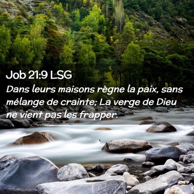 Picture 02 - Job 21:9 LSG - Dans leurs maisons règne la paix, sans mélange - Bible Verse Picture