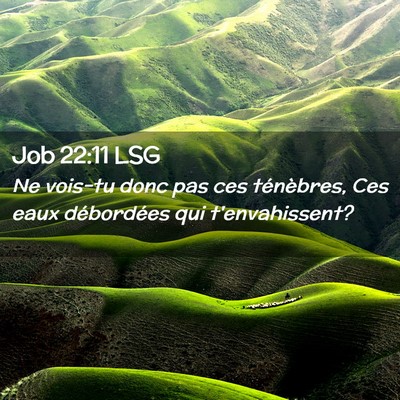 Picture 02 - Job 22:11 LSG - Ne vois-tu donc pas ces ténèbres, Ces eaux - Bible Verse Picture
