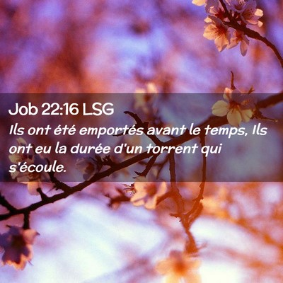 Picture 02 - Job 22:16 LSG - Ils ont été emportés avant le temps, Ils ont - Bible Verse Picture
