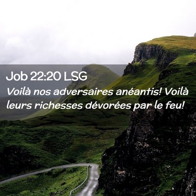 Picture 02 - Job 22:20 LSG - Voilà nos adversaires anéantis! Voilà leurs - Bible Verse Picture