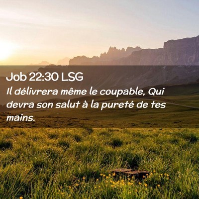Picture 02 - Job 22:30 LSG - Il délivrera même le coupable, Qui devra son - Bible Verse Picture