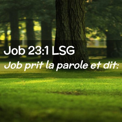 Picture 02 - Job 23:1 LSG - Job prit la parole et - Bible Verse Picture