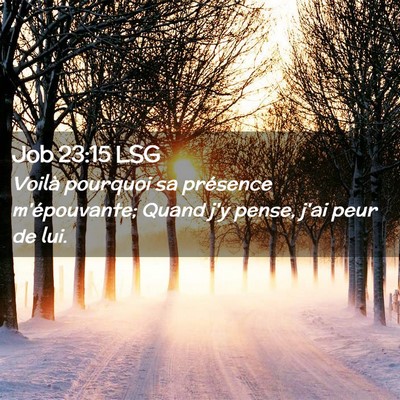 Picture 02 - Job 23:15 LSG - Voilà pourquoi sa présence m'épouvante; Quand - Bible Verse Picture