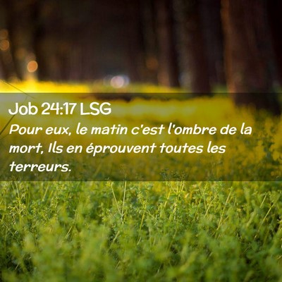Picture 02 - Job 24:17 LSG - Pour eux, le matin c'est l'ombre de la mort, Ils - Bible Verse Picture