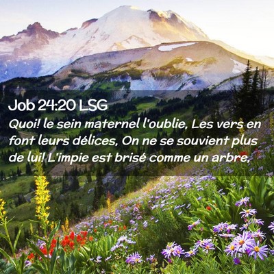 Picture 02 - Job 24:20 LSG - Quoi! le sein maternel l'oublie, Les vers en font - Bible Verse Picture