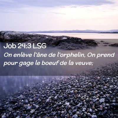 Picture 02 - Job 24:3 LSG - On enlève l'âne de l'orphelin, On prend pour - Bible Verse Picture