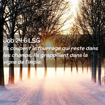 Picture 02 - Job 24:6 LSG - Ils coupent le fourrage qui reste dans les - Bible Verse Picture