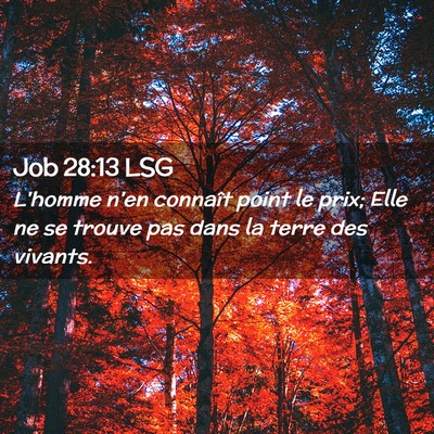 Picture 02 - Job 28:13 LSG - L'homme n'en connaît point le prix; Elle ne se - Bible Verse Picture