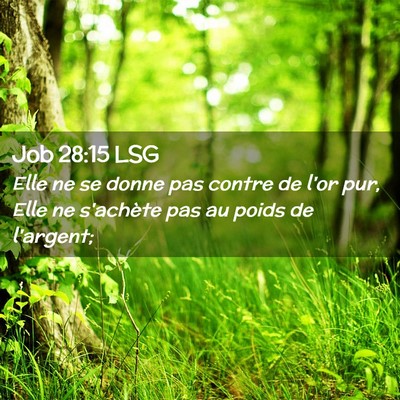 Picture 02 - Job 28:15 LSG - Elle ne se donne pas contre de l'or pur, Elle ne - Bible Verse Picture