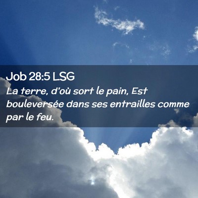 Picture 02 - Job 28:5 LSG - La terre, d'où sort le pain, Est bouleversée - Bible Verse Picture