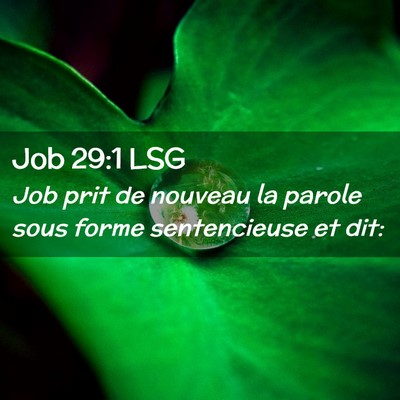 Picture 02 - Job 29:1 LSG - Job prit de nouveau la parole sous forme - Bible Verse Picture