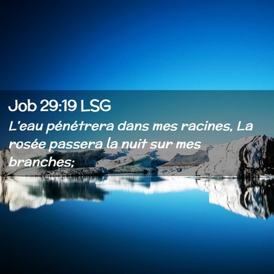 Picture 02 - Job 29:19 LSG - L'eau pénétrera dans mes racines, La rosée - Bible Verse Picture