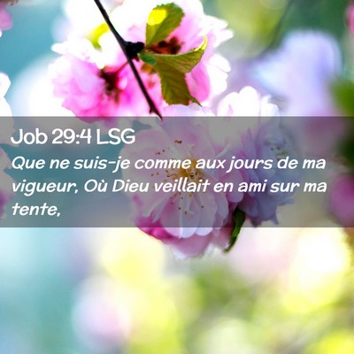 Picture 02 - Job 29:4 LSG - Que ne suis-je comme aux jours de ma vigueur, Où - Bible Verse Picture
