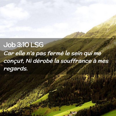 Picture 02 - Job 3:10 LSG - Car elle n'a pas fermé le sein qui me conçut, - Bible Verse Picture