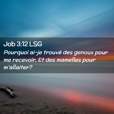 Picture 02 - Job 3:12 LSG - Pourquoi ai-je trouvé des genoux pour me - Bible Verse Picture