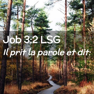 Picture 02 - Job 3:2 LSG - Il prit la parole et - Bible Verse Picture