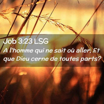 Picture 02 - Job 3:23 LSG - A l'homme qui ne sait où aller, Et que Dieu - Bible Verse Picture
