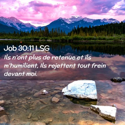 Picture 02 - Job 30:11 LSG - Ils n'ont plus de retenue et ils m'humilient, Ils - Bible Verse Picture