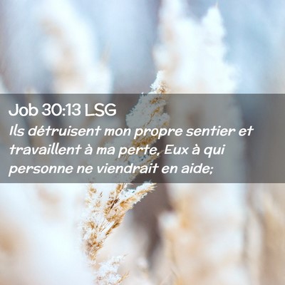 Picture 02 - Job 30:13 LSG - Ils détruisent mon propre sentier et travaillent - Bible Verse Picture