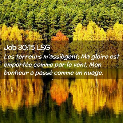 Picture 02 - Job 30:15 LSG - Les terreurs m'assiègent; Ma gloire est - Bible Verse Picture