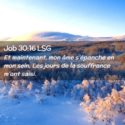 Picture 02 - Job 30:16 LSG - Et maintenant, mon âme s'épanche en mon sein, - Bible Verse Picture