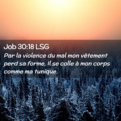 Picture 02 - Job 30:18 LSG - Par la violence du mal mon vêtement perd sa - Bible Verse Picture