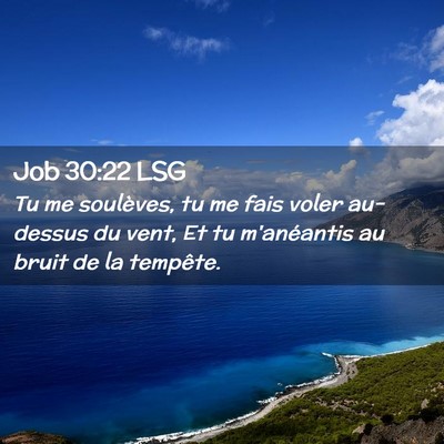 Picture 02 - Job 30:22 LSG - Tu me soulèves, tu me fais voler au-dessus du - Bible Verse Picture