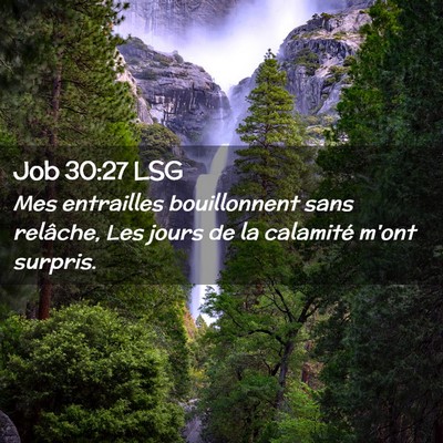 Picture 02 - Job 30:27 LSG - Mes entrailles bouillonnent sans relâche, Les - Bible Verse Picture