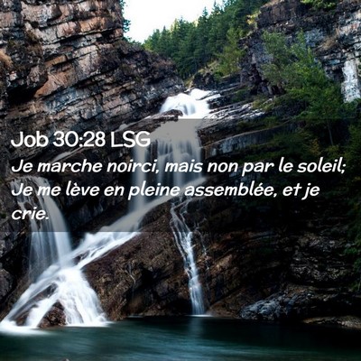 Picture 02 - Job 30:28 LSG - Je marche noirci, mais non par le soleil; Je me - Bible Verse Picture