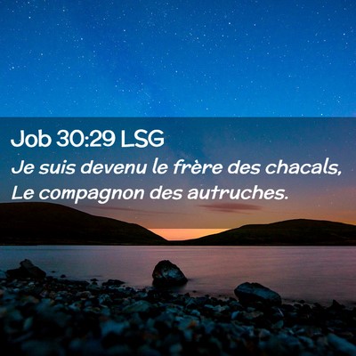 Picture 02 - Job 30:29 LSG - Je suis devenu le frère des chacals, Le - Bible Verse Picture
