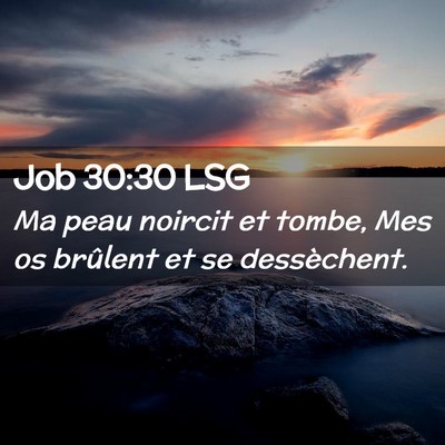 Picture 02 - Job 30:30 LSG - Ma peau noircit et tombe, Mes os brûlent et se - Bible Verse Picture