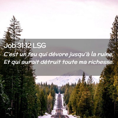 Picture 02 - Job 31:12 LSG - C'est un feu qui dévore jusqu'à la ruine, Et - Bible Verse Picture