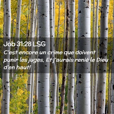 Picture 02 - Job 31:28 LSG - C'est encore un crime que doivent punir les - Bible Verse Picture