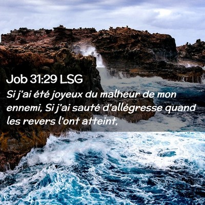 Picture 02 - Job 31:29 LSG - Si j'ai été joyeux du malheur de mon ennemi, Si - Bible Verse Picture