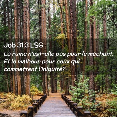 Picture 02 - Job 31:3 LSG - La ruine n'est-elle pas pour le méchant, Et le - Bible Verse Picture