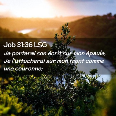 Picture 02 - Job 31:36 LSG - Je porterai son écrit sur mon épaule, Je - Bible Verse Picture