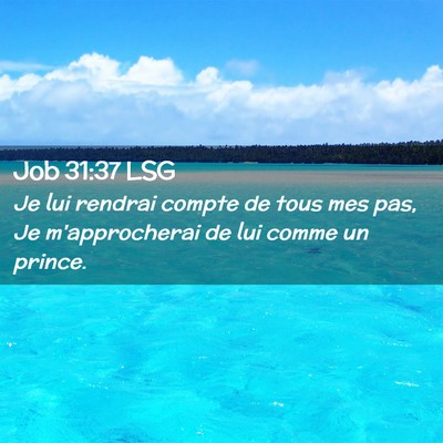 Picture 02 - Job 31:37 LSG - Je lui rendrai compte de tous mes pas, Je - Bible Verse Picture