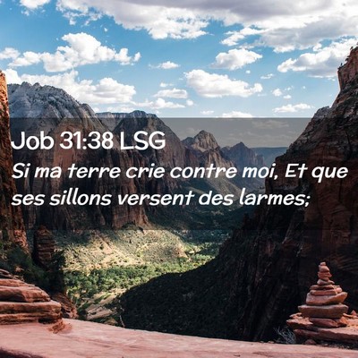 Picture 02 - Job 31:38 LSG - Si ma terre crie contre moi, Et que ses sillons - Bible Verse Picture