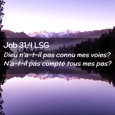 Picture 02 - Job 31:4 LSG - Dieu n'a-t-il pas connu mes voies? N'a-t-il pas - Bible Verse Picture