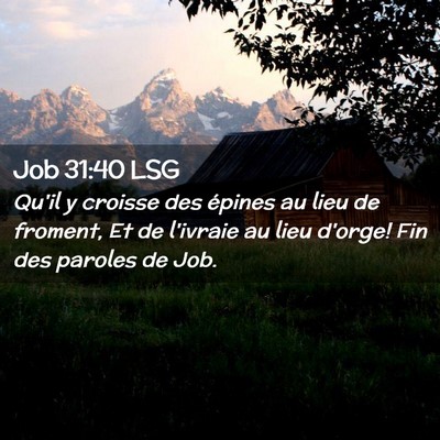 Picture 02 - Job 31:40 LSG - Qu'il y croisse des épines au lieu de froment, - Bible Verse Picture