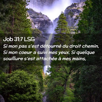 Picture 02 - Job 31:7 LSG - Si mon pas s'est détourné du droit chemin, Si - Bible Verse Picture