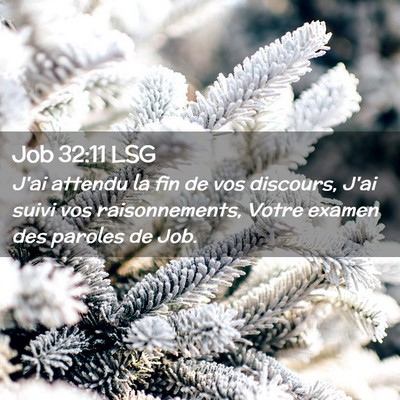 Picture 02 - Job 32:11 LSG - J'ai attendu la fin de vos discours, J'ai suivi - Bible Verse Picture
