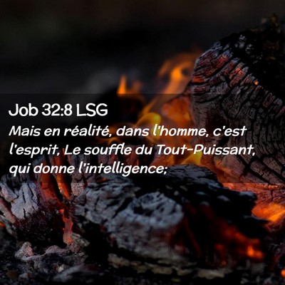 Picture 02 - Job 32:8 LSG - Mais en réalité, dans l'homme, c'est l'esprit, - Bible Verse Picture