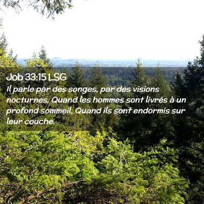 Picture 02 - Job 33:15 LSG - Il parle par des songes, par des visions - Bible Verse Picture