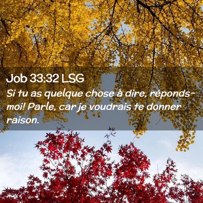 Picture 02 - Job 33:32 LSG - Si tu as quelque chose à dire, réponds-moi! - Bible Verse Picture