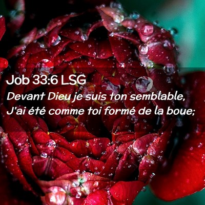 Picture 02 - Job 33:6 LSG - Devant Dieu je suis ton semblable, J'ai été - Bible Verse Picture