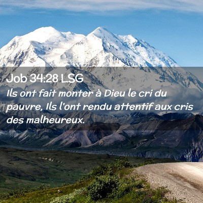 Picture 02 - Job 34:28 LSG - Ils ont fait monter à Dieu le cri du pauvre, Ils - Bible Verse Picture