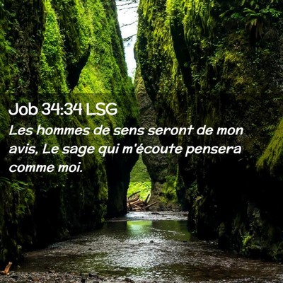 Picture 02 - Job 34:34 LSG - Les hommes de sens seront de mon avis, Le sage - Bible Verse Picture